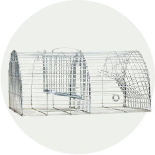 categorie rattenkooien